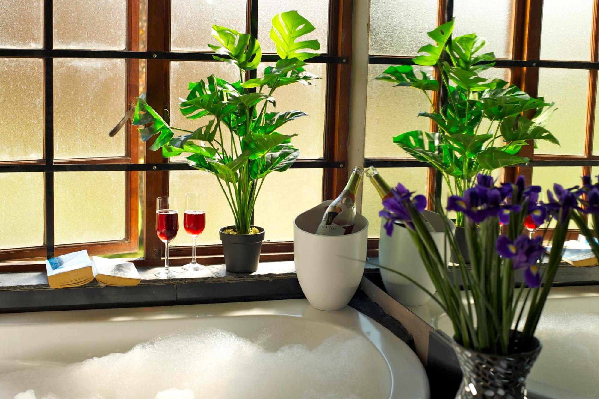 Boord Guest House Стеленбош Екстериор снимка